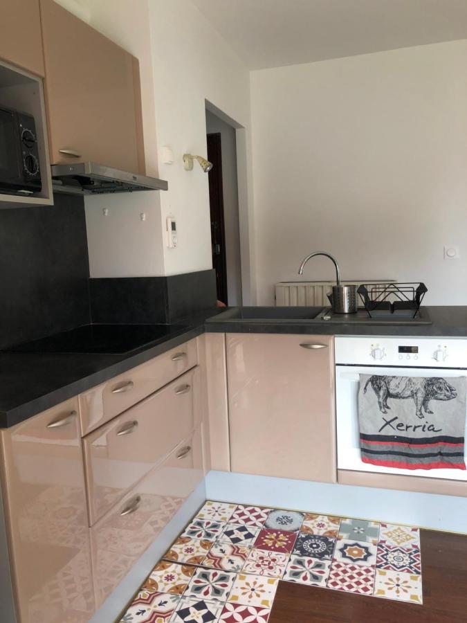 Appartement Cosy, En Rez De Chaussee, En Plein Centre De Cambo Les Bains Eksteriør bilde